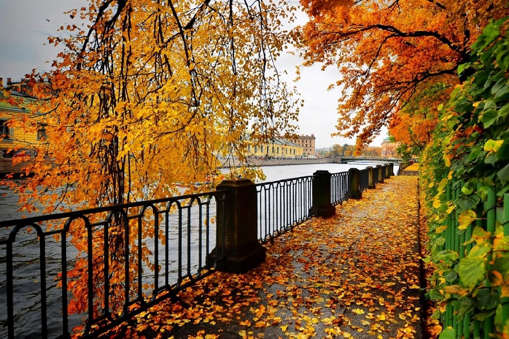 Петербург осенью: шесть фотолокаций с золотой листвой — фото 1