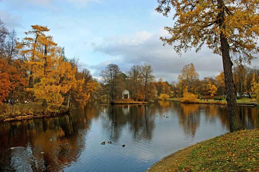 Петербург осенью: шесть фотолокаций с золотой листвой — фото 4